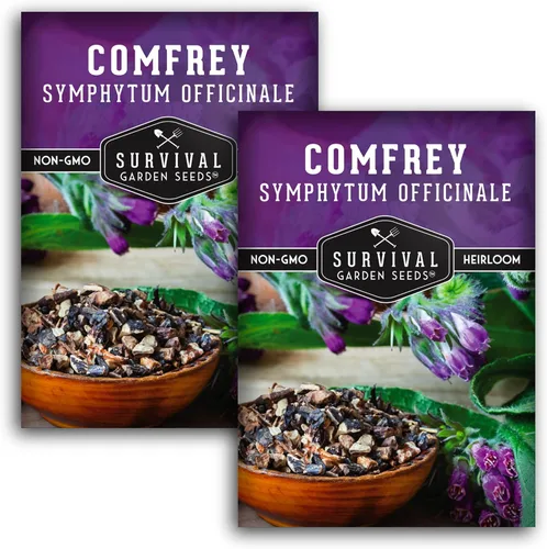 Semillas de consuelda para plantar, Symphytum Officinale Hierba medicinal perenne para té de abono y cuidado de la piel natural, raíz resbaladiza