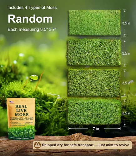 Miniatura 2 de Live Moss - Paquete de 4 (cada uno de 3.5 x 7 pulgadas), musgo mezclado real para terrarios, hábitats de reptiles, jardines de hadas y plantas