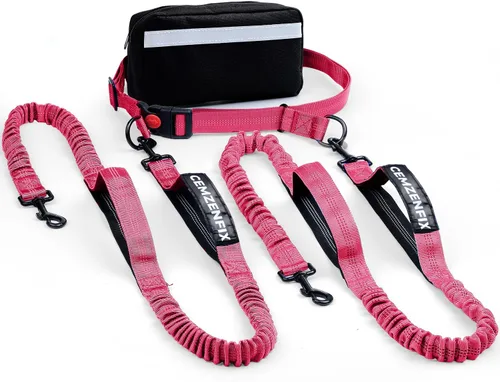 Miniatura 11 de Correa de perro manos libres con cinturón – Bungee sin tirones, asas acolchadas dobles y bolsa con cremallera para correr, caminar y entrenar