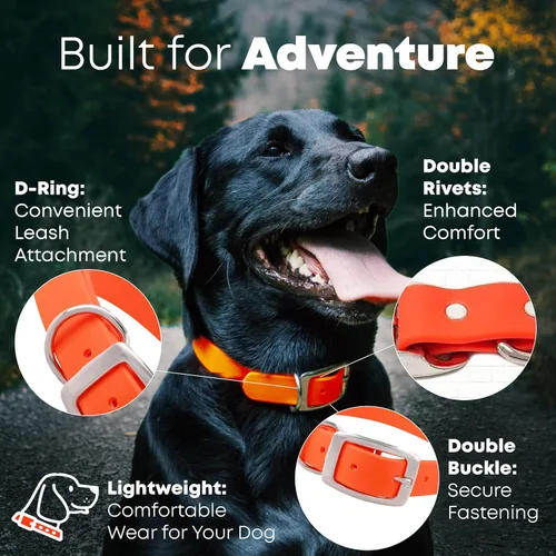 Miniatura 2 de Collar impermeable para perro con anillo central resistente Collar para perros pequeños, medianos, grandes o XL, Anaranjado
