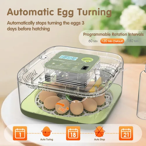 Miniatura 6 de HOWOOlUA - Incubadora de huevos para incubar huevos con giro automático, control de temperatura y humedad, incubadora de huevos integrada de gran