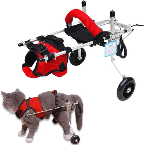 Silla de ruedas para gatos, silla de ruedas para mascotas, diseño de arnés extraíble, silla de ruedas ligera para patas traseras de perros, gatos,