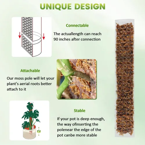 Miniatura 3 de EOX 2 Piezas Postes de Musgo de Plástico de 48 Pulgadas para Monstera, Postes Grandes en Forma de D para Plantas Trepadoras que Funcionan con Musgo