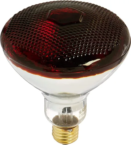 Satco Bombilla mediana S4751 en acabado bronce/oscuro, 5.31 pulgadas
