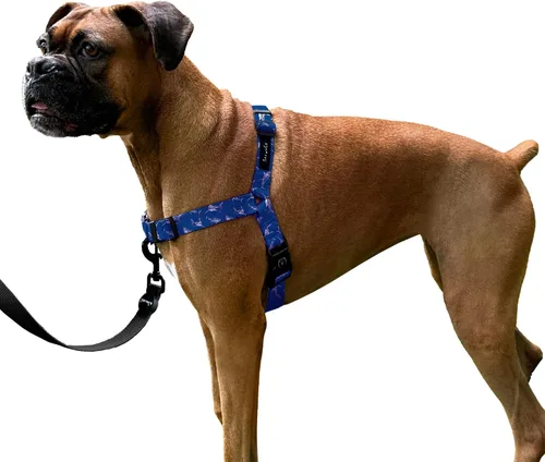 Miniatura 20 de ShawnCo Dream Walk Arnés para Perros Sin Tirones - Ajustable, Cómodo, Fácil de Usar, Cabestro para Mascotas para Ayudar a Detener los Tirones