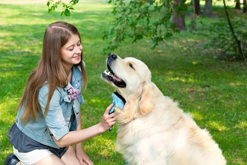 Miniatura 2 de Cepillo Slicker para Mascotas - Cepillo Autolimpiante para Perros y Gatos con Cerdas Retráctiles para Todo Tipo de Pelo - Púas de Masaje Eliminan