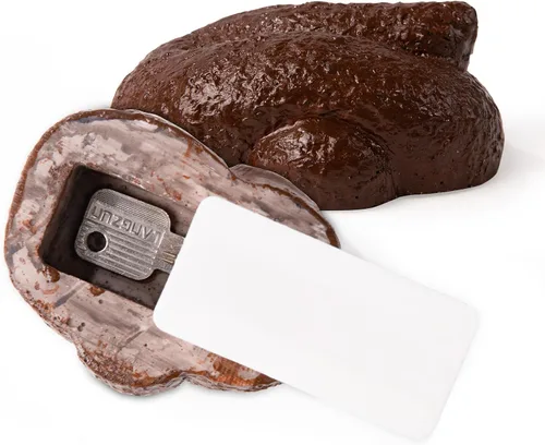 Fake Rock – Aspecto de piedra – Caja de seguridad oculta para exteriores, caja de almacenamiento secreta para llaves, ocultador de llaves de piedra