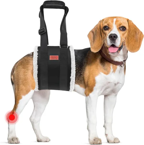 Arnés Ajustable de Elevación para Perros, Cabestrillo para Perros Grandes con Soporte de Elevación y Arnés de Rehabilitación para Patas Traseras