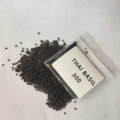 Miniatura 2 de Albahaca, hoja grande italiana, reliquia, 100 semillas, gran hierba fresca/seca