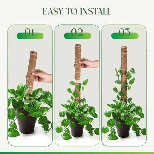 Miniatura 4 de Pisol Poste de musgo para plantas Monstera, soporte extensible, estacas para plantas en maceta de interior, enrejado de poste de fibra de coco