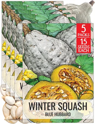 Miniatura 9 de Seed Needs Semillas de calabacín para plantar calabaza de verano Black Beauty, sin OMG, reliquia y sin tratar, rendimientos prolíficos de deliciosos