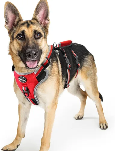 Miniatura 15 de Mihachi Arnés para perro a prueba de escapes, arnés para perro sin tirones con asa, suave acolchado reflectante y ajustable de cuerpo completo
