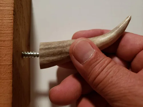Miniatura 5 de Ganchos de pared con punta de asta real, atornillados en madera o paneles de yeso, paquete de 3