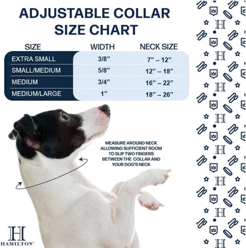 Miniatura 4 de Collar de perro ajustable de Hamilton, 3/8 pulgadas, Negro