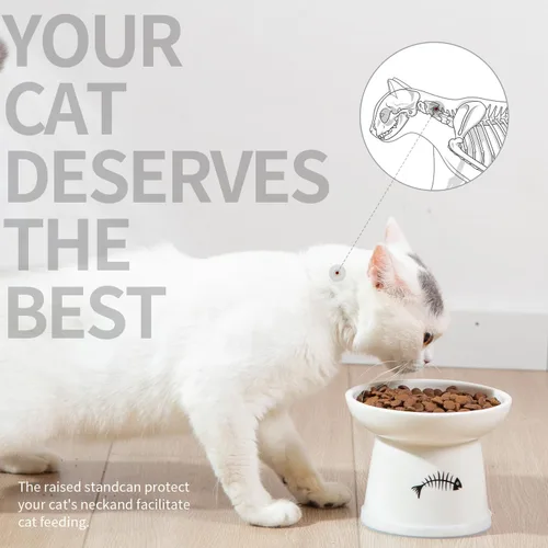 Miniatura 2 de FOREYY - Juego de cuencos elevados para comida y agua para gatos, cuencos elevados de cerámica para gatos con anillo antideslizante, antivómitos
