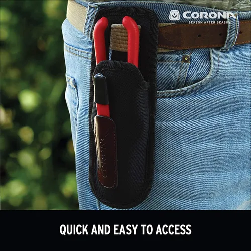 Miniatura 5 de Corona AC 4510 Scabbard
