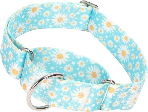 Miniatura 16 de Collar Martingale para Perro de 1.5 Pulgadas de Ancho - Diseño de Calavera Extra Resistente para Perros Grandes, Collar de Entrenamiento Ajustable
