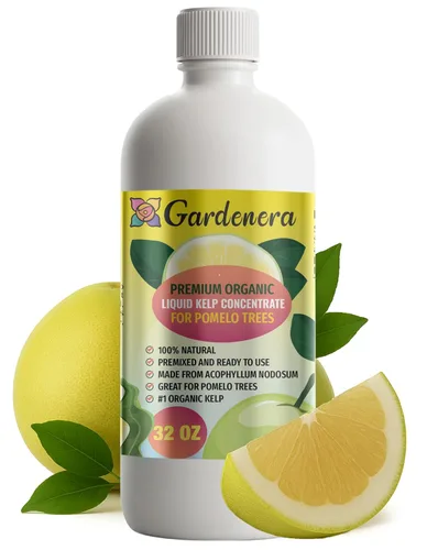 Miniatura 96 de GARDENERA Superalimento orgánico prémium de algas marinas y algas marinas para plantas AGLAONEMA, 8 onzas, concentrado de fertilizante líquido