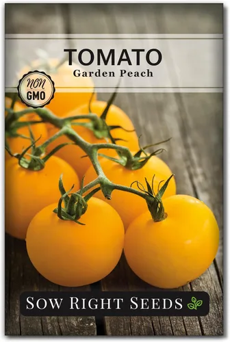 Sow Right Seeds - Semillas de tomate melocotón de jardín para plantar - Paquete de reliquia sin OMG con instrucciones para cultivar un huerto en el