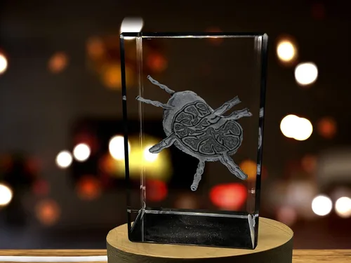 Miniatura 12 de Regalo para médicos 3D grabado en cristal recuerdo/regalo/decoración/(pequeño (3 x 2 x 2 pulgadas), arterias)