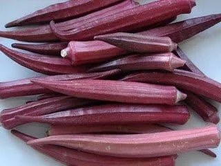Miniatura 4 de Okra Red Borgoña Great Heirloom Vegetable By Seed Kingdom Bulk Semillas de 1 libra