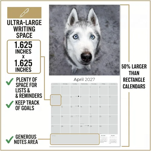 Miniatura 3 de Razas de Perros 2017 SIBERIAN HUSKY
