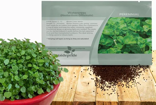 Outsidepride Planta de jardín de hierbas medicinales y culinarias de berros perennes capuchina Officinale - 5000 semillas