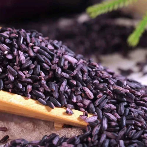 Miniatura 5 de Arroz Púrpura 17.63oz Nuevo Arroz en la temporada Arroz glutinoso púrpura Cereales gruesos
