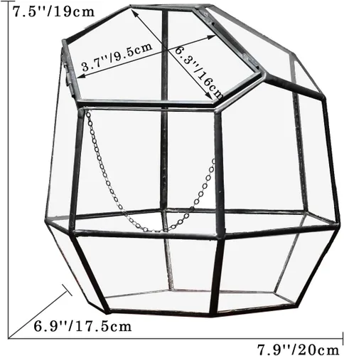 Miniatura 5 de NCYP Terrario geométrico cerrado pequeño hecho a mano de 7.5 pulgadas con puerta, maceta de vidrio irregular negro, maceta moderna para flores