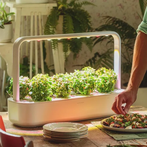 Miniatura 5 de Click & Grow - Kit de jardín de hierbas para interiores con luz de crecimiento, más fácil que el sistema de cultivo hidropónico, jardín inteligente