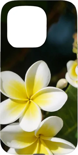 Miniatura 14 de iPhone 12/12 Pro Plumeria Flower - Carcasa amarilla