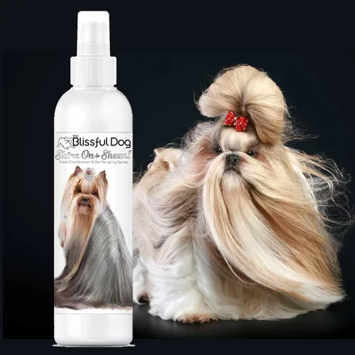Miniatura 2 de The Blissful Dog Shine-On + Sheen Coat - Spray para perro, acondicionador fácil de usar, acondicionador sin enjuague sensible a la piel, espray