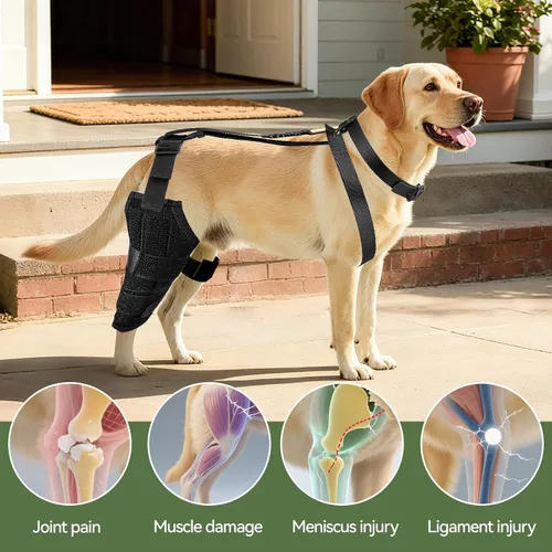 Miniatura 6 de Rodillera de perro para pierna trasera, soporte ajustable para piernas de perro para desgarro de ACL, soporte de pierna trasera, estabilidad