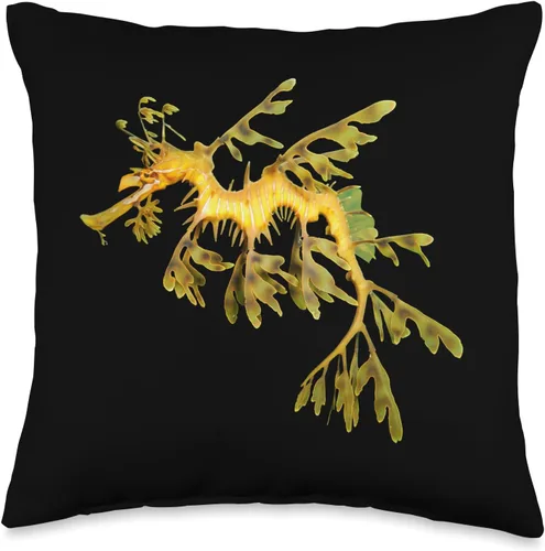 Leafy Sea Dragon Seadragon - Cojín de 15.7 x 15.7 in, diseño de dragón marino