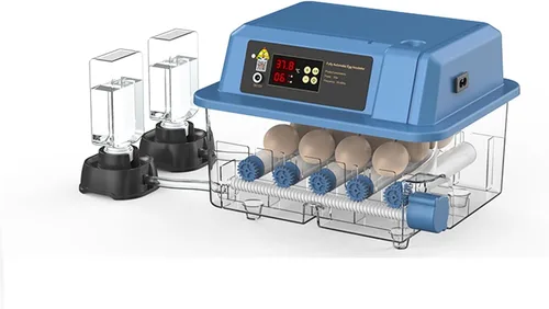 Miniatura 13 de Incubadoras automáticas para incubar huevos, capacidad para 6-256 huevos, control automático y ajustable de temperatura y humedad para pollo, pato