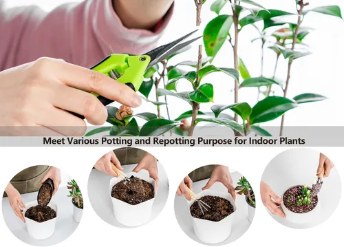 Miniatura 2 de Josteve juego de 5 herramientas para suculentas, mini herramientas de jardín pequeñas para interior, tijeras de podar y jardinería, juego de mano