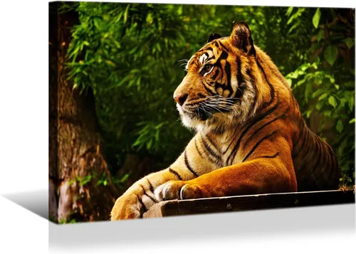 Miniatura 37 de YONICA Lienzo de pared de animales de la naturaleza, pintura de pared de águila, impresión artística de águila calva voladora impresa en lienzo