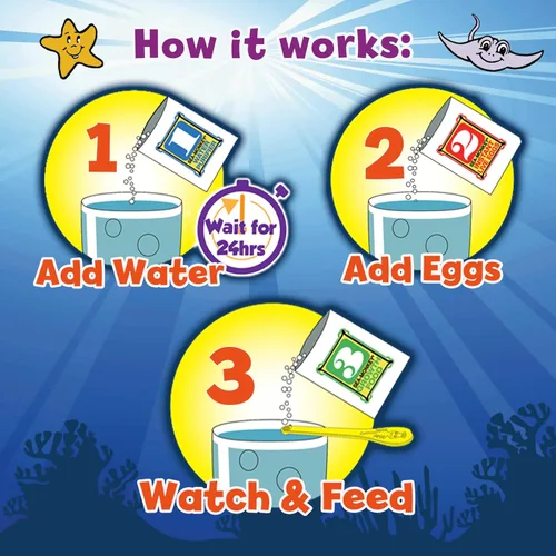 Miniatura 3 de Los monos marinos originales - Zoo oceánico - Kit de ciencia para criar tus propias mascotas - Incluye huevos, alimentos y purificador de agua