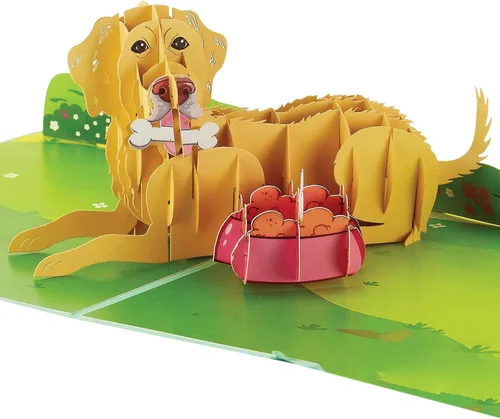 Miniatura 14 de Tarjeta de cumpleaños desplegable de camaleón, tarjeta de felicitación de 6 x 6 pulgadas con increíble diseño de lagarto 3D, perfecta