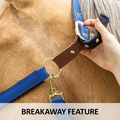 Miniatura 3 de Dura-Tech Cabestro de caballo totalmente acolchado de lujo Superposición de tela de nailon de doble capa de 1 pulgada Hardware resistente