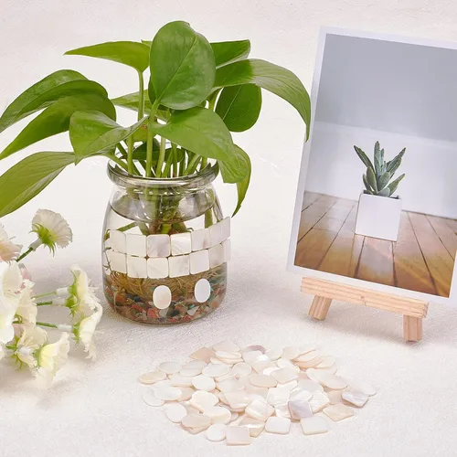 Miniatura 5 de GORGECRAFT 2 Styles 100PCS Bulk Mother of Pearl Mosaic Tiles Natural Shell Tiles White Square Round Mother-of-Pearl Mosaic Tiles for Home Decoration