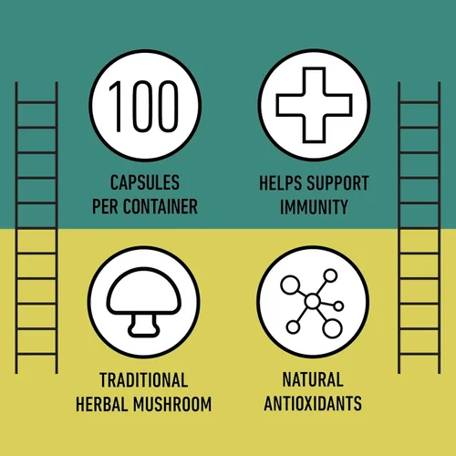 Miniatura 8 de Complete Natural Products Cápsulas orgánicas de hongos Chaga - 100 unidades, poder antioxidante orgánico, refuerzo inmunológico, apoyo intestinal