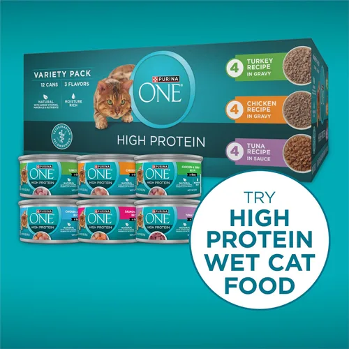Miniatura 8 de Purina ONE Plus - Alimento para gatos con alto contenido de proteínas, salmón seco y pescado blanco del océano, fórmula para la salud de la piel
