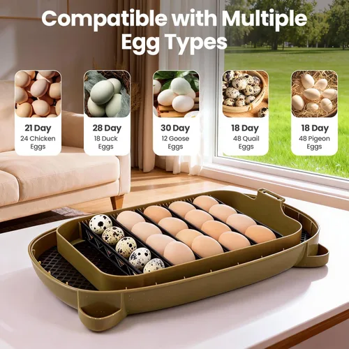 Miniatura 7 de Incubadoras para incubar huevos, capacidad de 24 huevos con giro automático, control preciso de temperatura y humedad, vela de huevo, ventilación