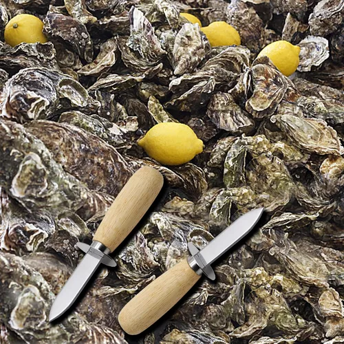 Miniatura 7 de 2Oyster - Cuchillo de acero inoxidable con mango de madera, con 2 pares de guantes resistentes a cortes de nivel 5, abridor de ostras para cocina