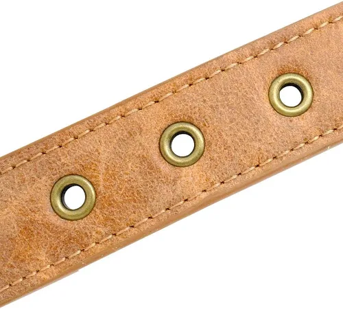 Miniatura 4 de Collar de perro de cuero con púas de 2 pulgadas, remache afilado antimordidas para perros Pit Bull medianos y grandes, cuello marrón para 14-19