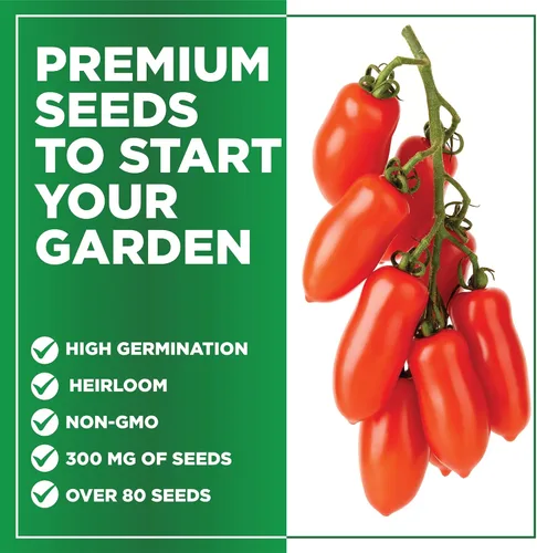 Miniatura 2 de TKE Farms & Gardens - Semillas de tomate San Marzano para plantar, más de 90 semillas de reliquia sin OMG, disfruta de tomates dulces y picantes