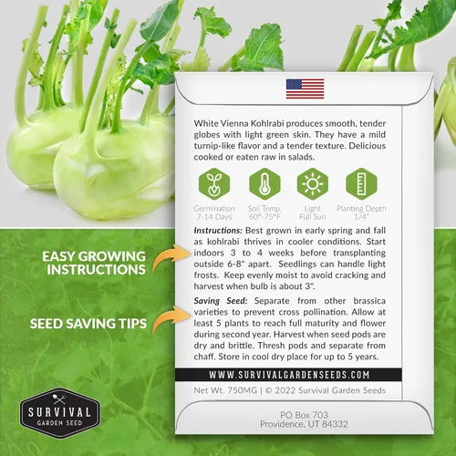 Miniatura 2 de Survival Garden Seeds - Semilla de colinabo blanco de Viena para plantar - Paquete con instrucciones para plantar y cultivar verduras crucíferas