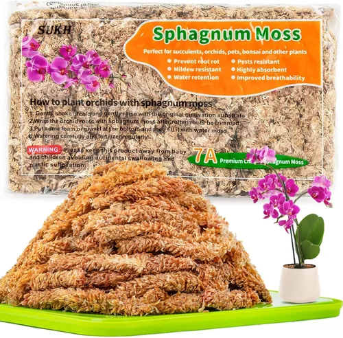 3 Oz de musgo esfagno para orquídeas - Sukh Musgo de turba esfagno para plantas, fibra larga, mezcla para macetas de orquídeas de fibra larga para