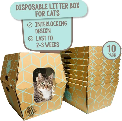 Cats Desire - Cajas de arena desechables para gatos, paquete de 10, diseño de cartón más alto de 17 pulgadas para una contención superior, bandeja